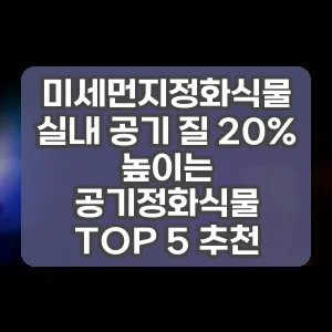 미세먼지정화식물 | 실내 공기 질 20% 높이는 공기정화식물 TOP 5 추천