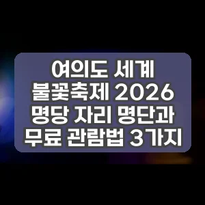 여의도 세계 불꽃축제 2026 명당 자리 명단과 무료 관람법 3가지