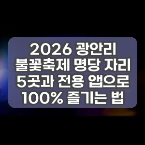 2026 광안리 불꽃축제 명당 자리 5곳과 전용 앱으로 100% 즐기는 법