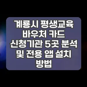 계룡시 평생교육 바우처 카드 신청기관 5곳 분석 및 전용 앱 설치 방법
