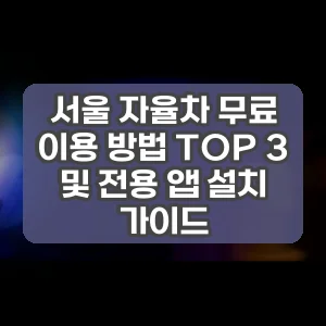 서울 자율차 무료 이용 방법 TOP 3 및 전용 앱 설치 가이드